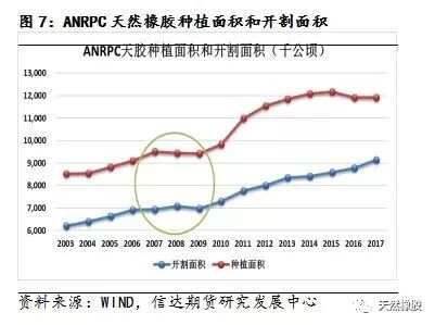 澳门最最准一肖一码|词语释义解释落实,澳门最最准一肖一码，词语释义与解释落实的重要性