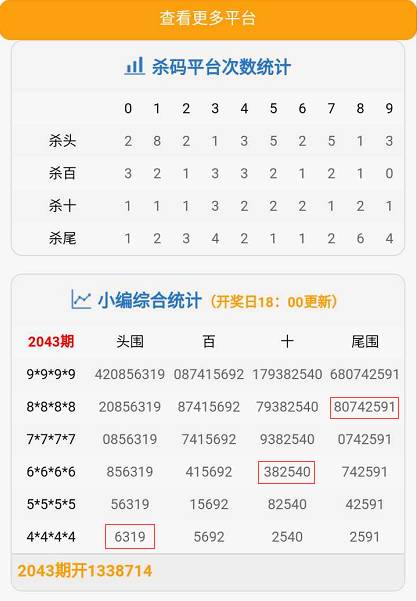 新澳门九点半9点半网站开奖|精选解析解释落实,新澳门九点半9点半网站开奖精选解析，开奖秘密与投注策略