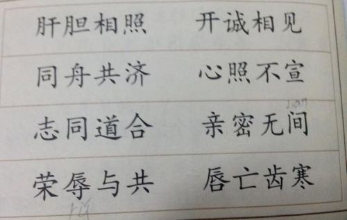 澳门一肖一特一码一中|词语释义解释落实,澳门一肖一特一码一中，词语释义与落实解析