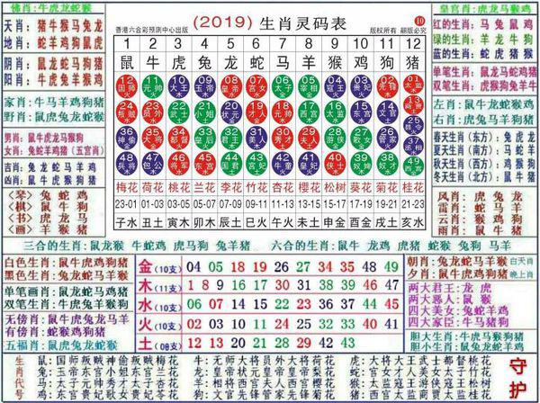 新闻 第10页