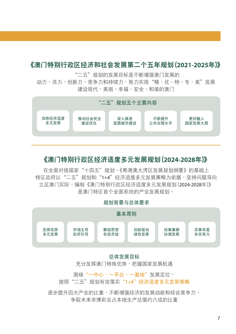 新澳门2025年全年资料|精选解释解析落实,新澳门2025年全年资料解析与落实精选解释